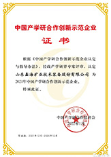 山东鑫海矿业优势