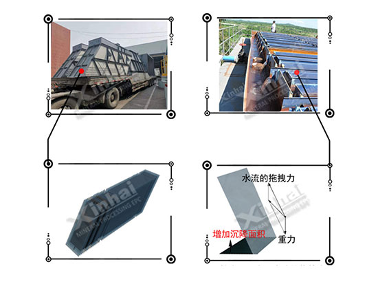 xhnongusoji13.jpg